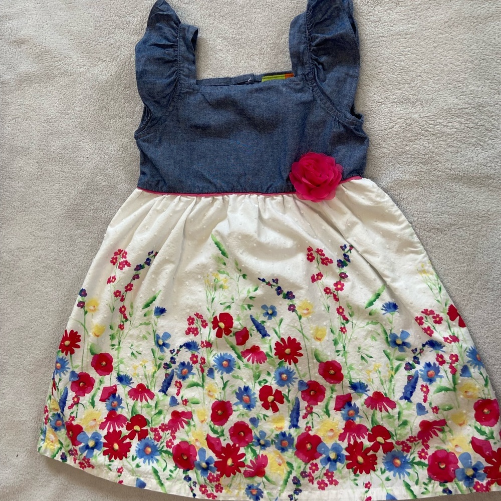 Girl dress